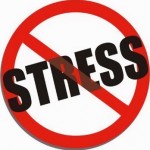 stress-fitness