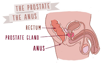 prostate, prostate massage