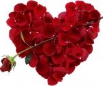Valentine's Day, romance, couples, love, relationships